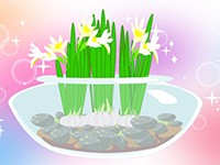 舶來(lái)名花——水仙
