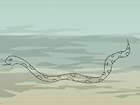 畫(huà)蛇添足